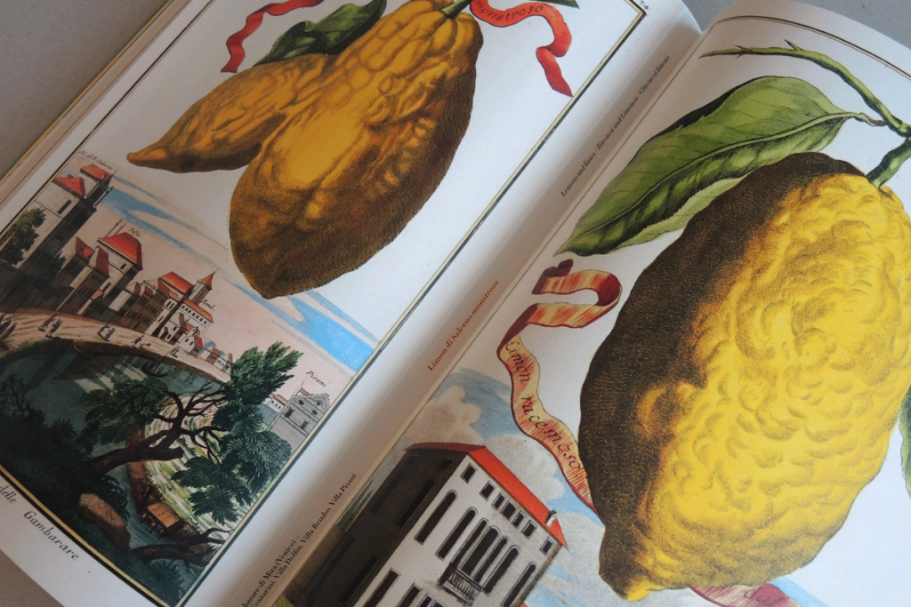 The Book of Citrus Fruits