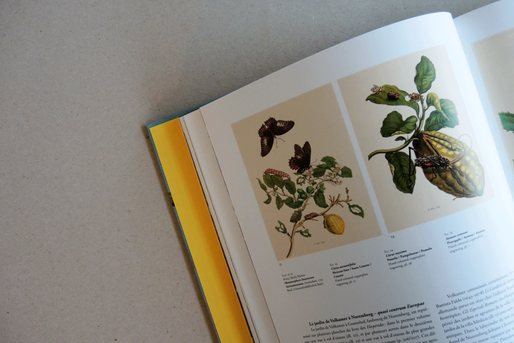 The Book of Citrus Fruits