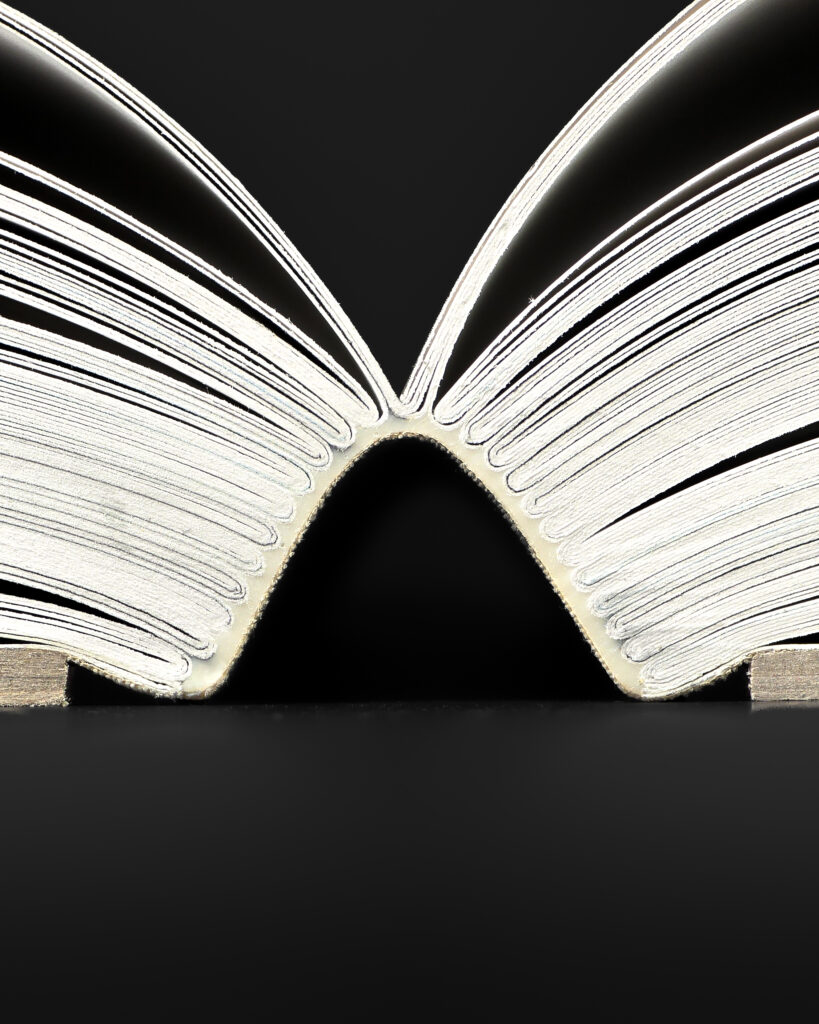 Close-up of the flexible binding and deeply opening book block of Mark Borthwick Out of Date